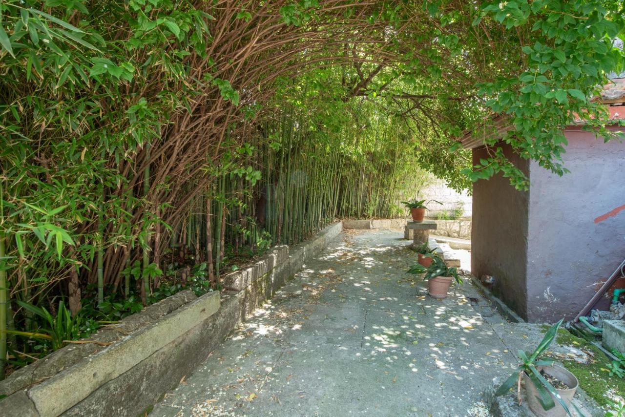 Apartments Radimir Kotor Exterior photo